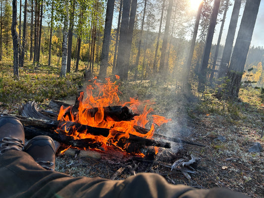 Klädd för framgång - från skog till skydd